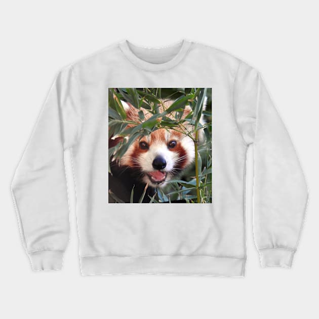 Red Panda Crewneck Sweatshirt by kirstybush